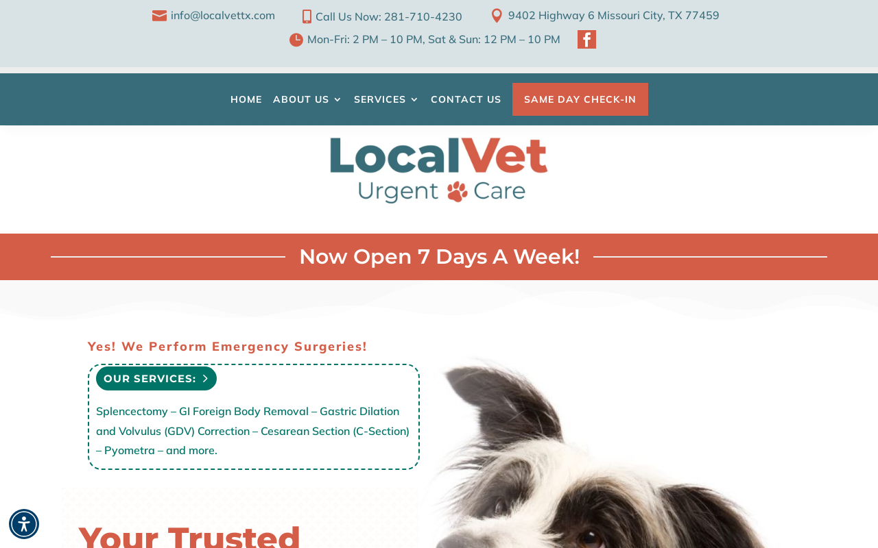 Local Vet Urgent Care — screenshot of their official website