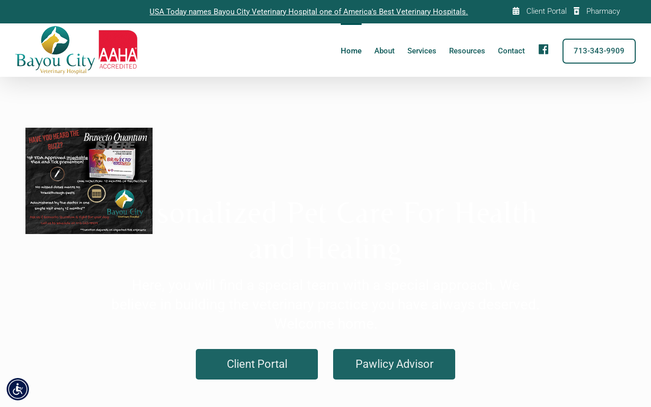 Bayou City Veterinary Hospital — screenshot of their official website
