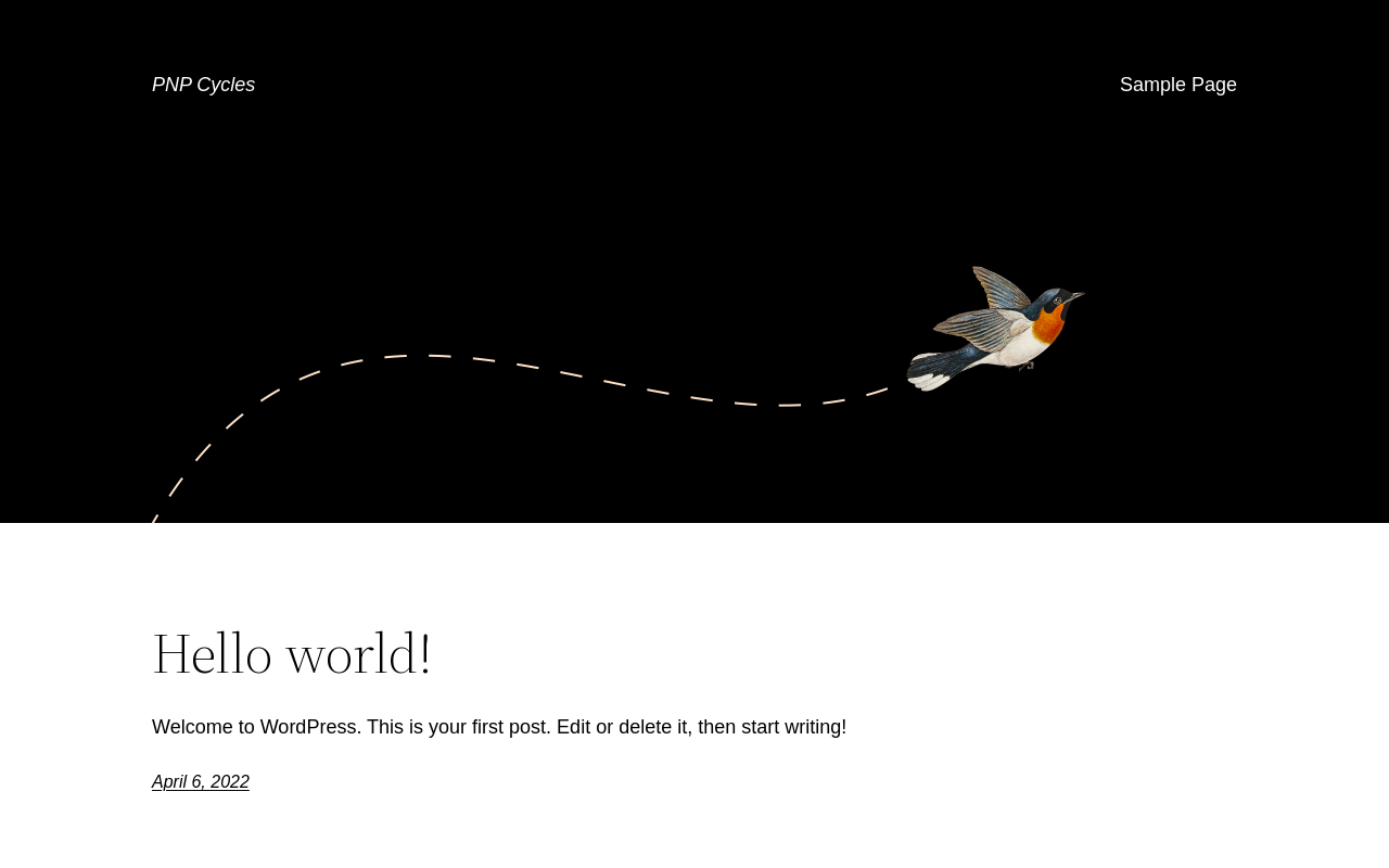 PNP Cycles — screenshot of their official website