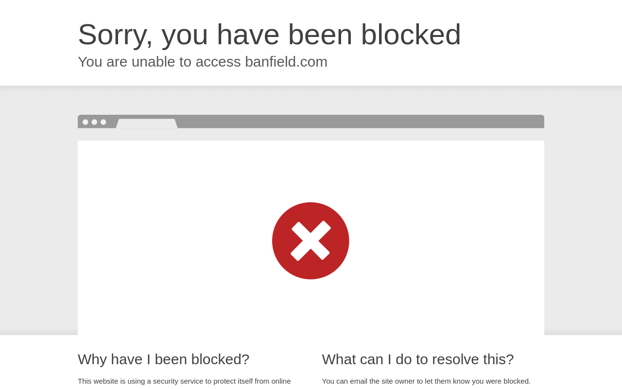 Banfield Pet Hospital — screenshot of their official website