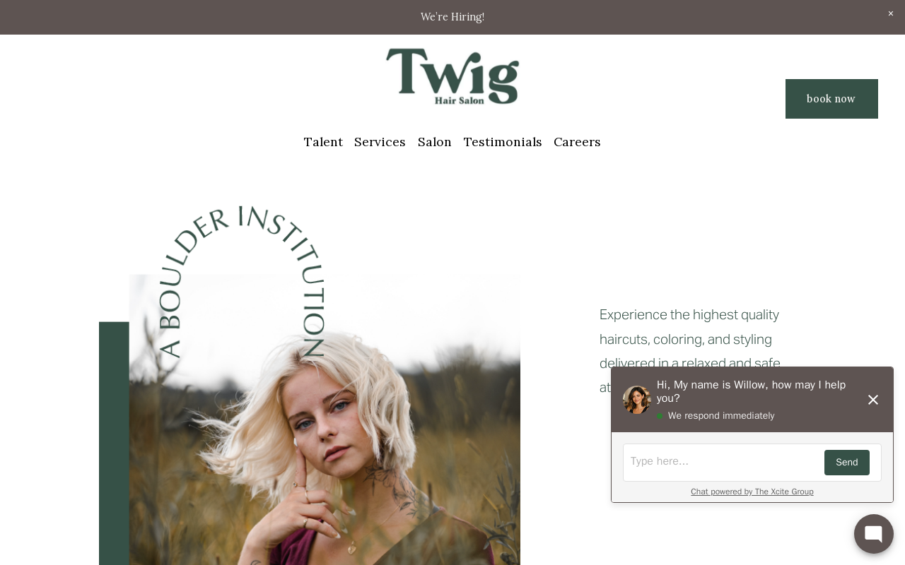 Twig — screenshot of their official website