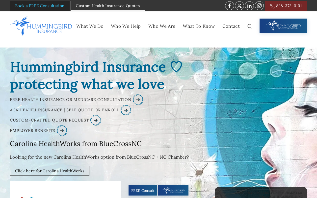 Hummingbird Insurance Asheville NC — screenshot of their official website