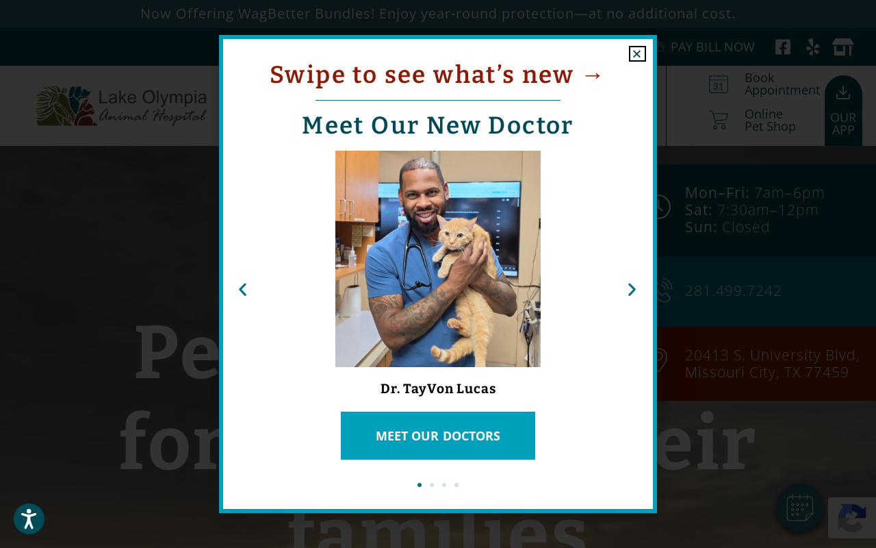 Lake Olympia Aminal hostpital — screenshot of their official website